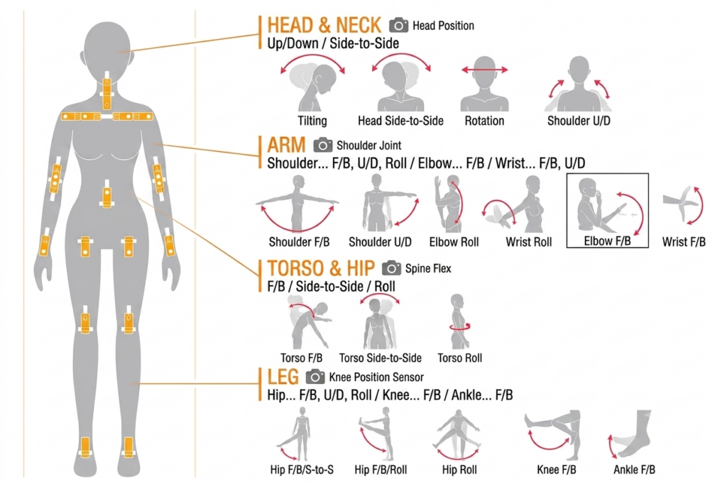 Orient Industry linked-joint skeleton structure and range of motion